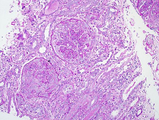 Image%20December%202017