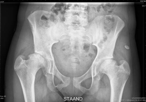 July%202017%20image1