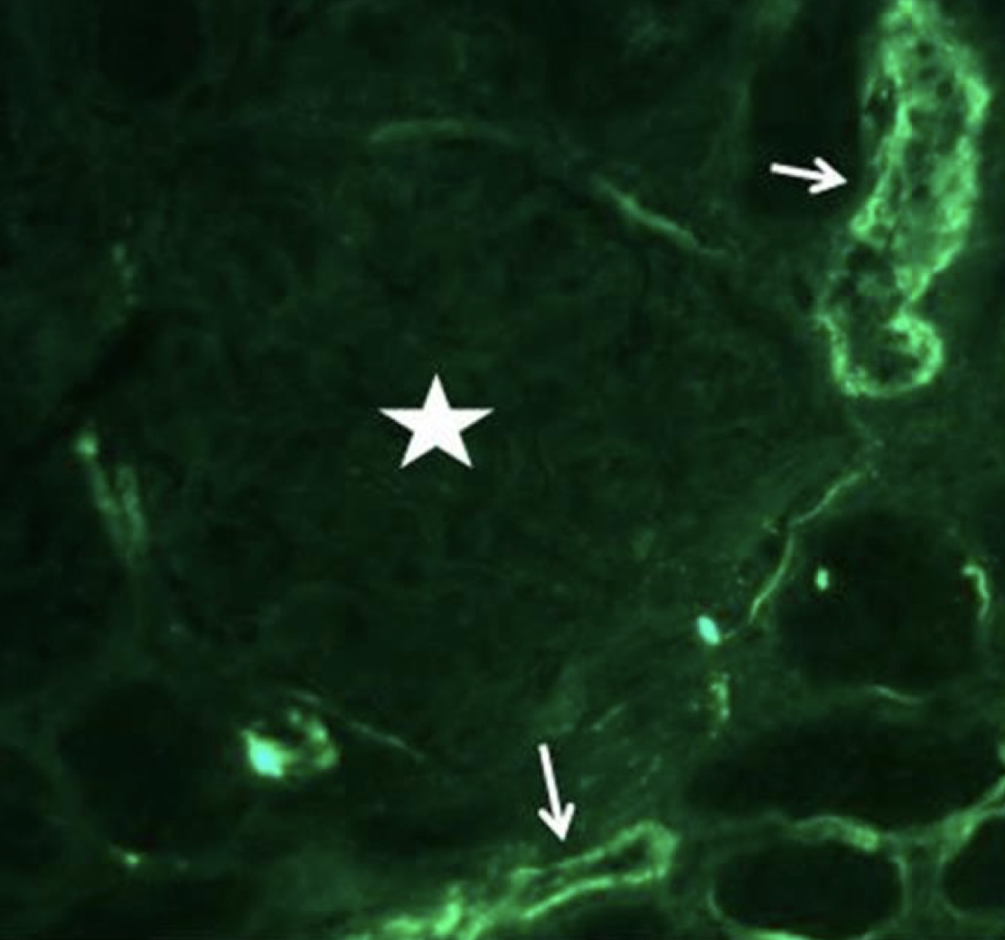 Image%20from%20347 349-ing,%20page%201